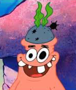 Estrrsa🌹 tweet media