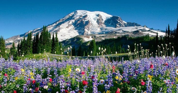 𝒍𝒖𝒏𝒂 tweet media