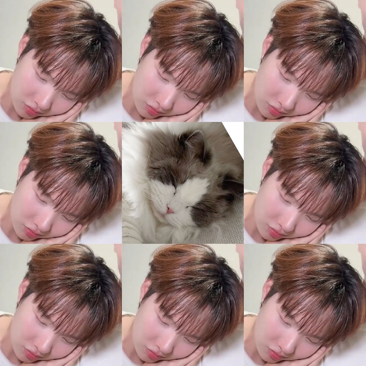 โ ๐๐๐๐๐๐๐ tweet media