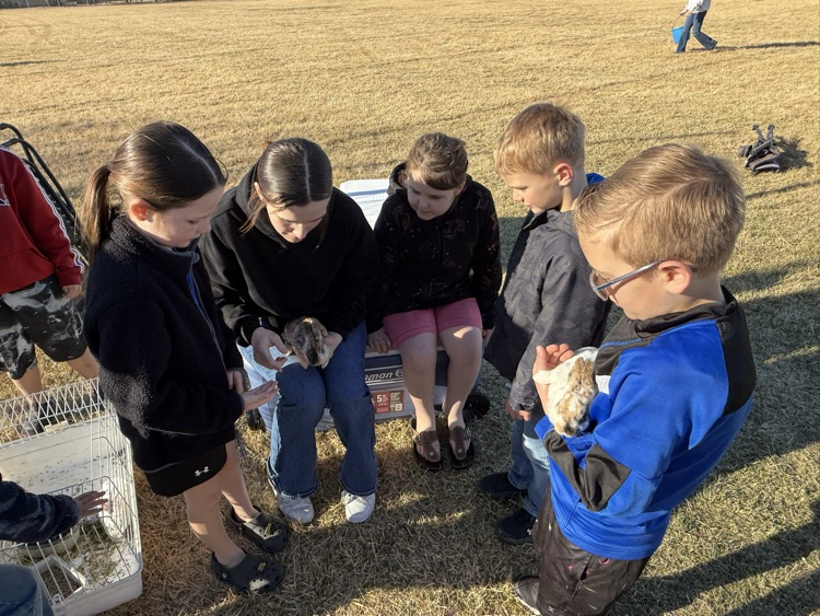 Arapahoe-Holbrook Public School (NE) tweet media