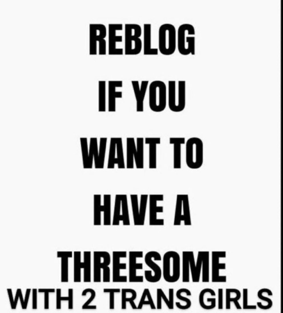 SISSY/GAYTEST PLATFORM tweet media