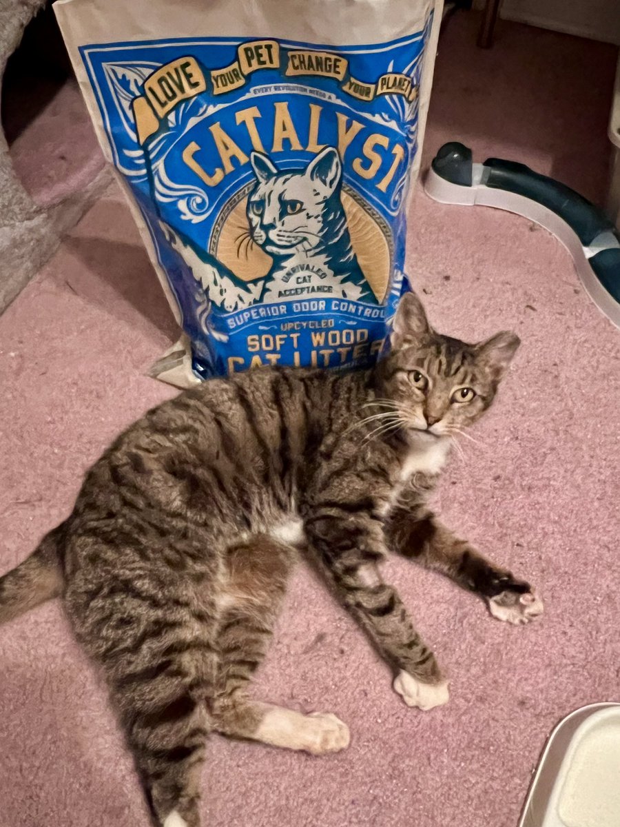 Project MEOW tweet media