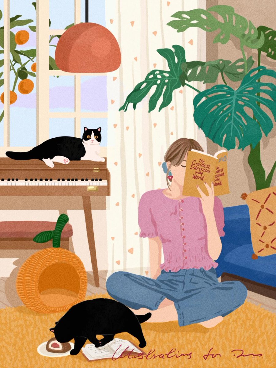 JOSE YUSUF TOLEDO tweet media