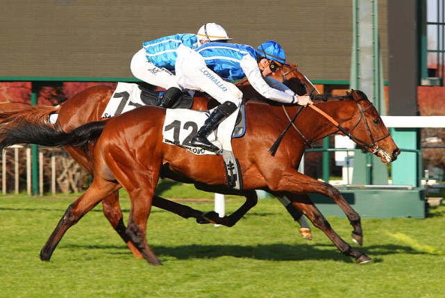 BallylinchStud tweet media