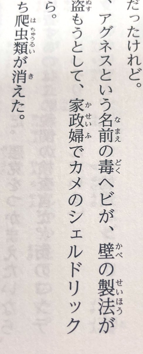 獣二🐾 tweet media