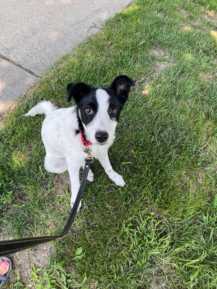 KatsyTheremin tweet media