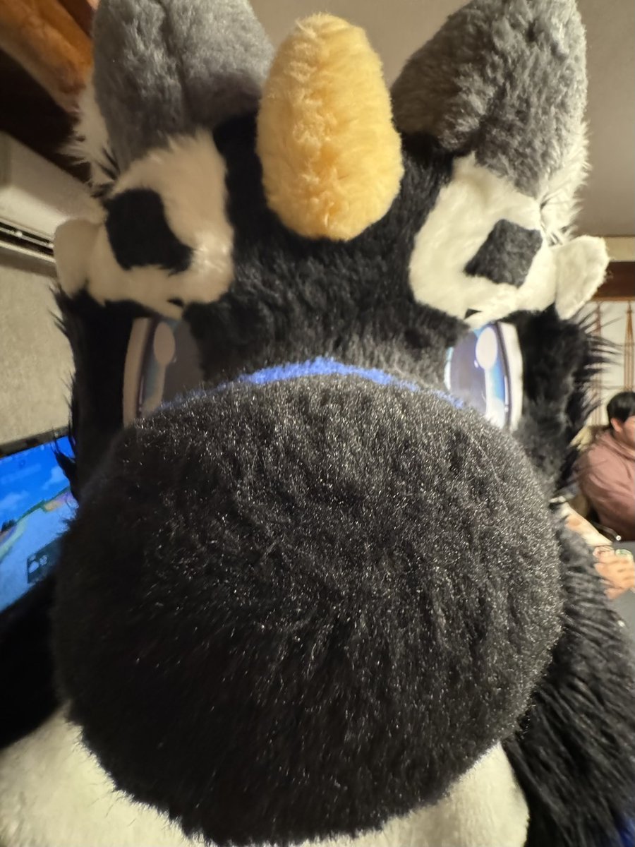 はいしぃ tweet media