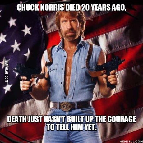 Steve H.McFly tweet media