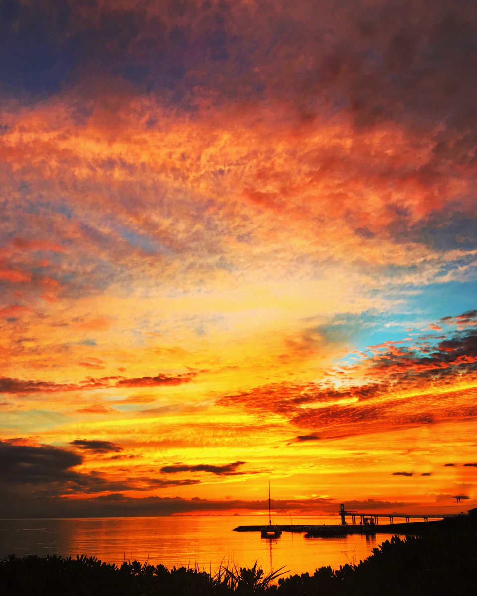 lorenzo stys tweet media