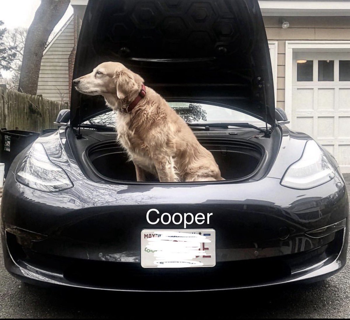 Earl of FrunkPuppy tweet media