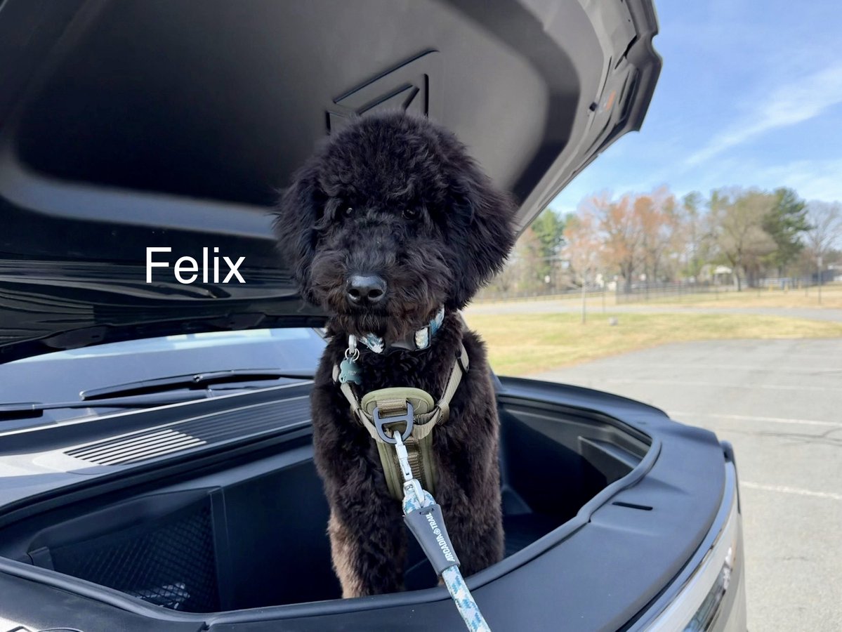 Earl of FrunkPuppy tweet media