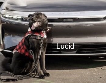 Earl of FrunkPuppy tweet media