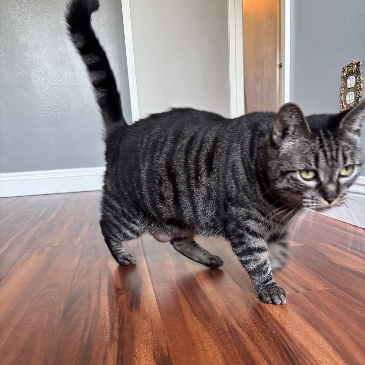 Nexus∞θθ8 tweet media