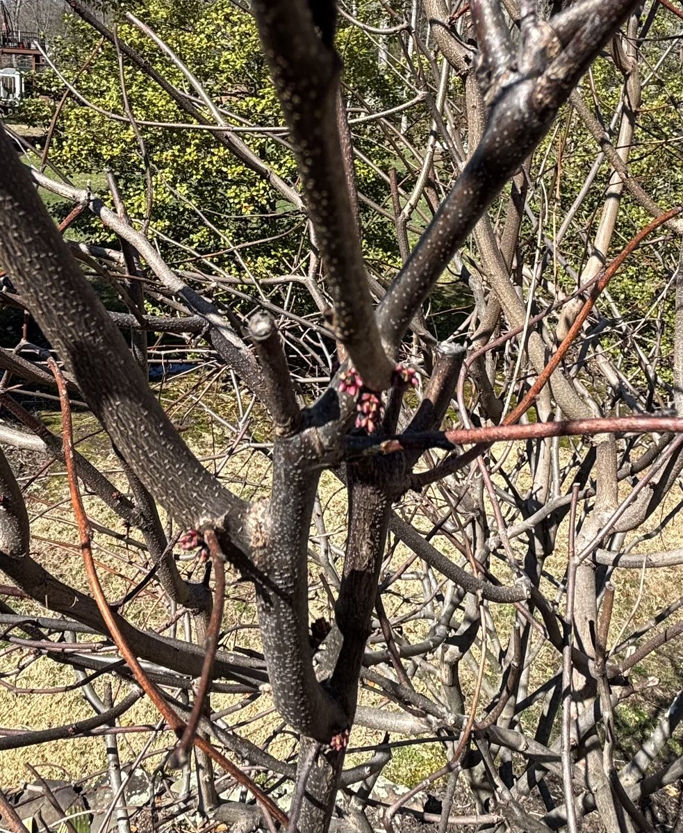 Selecta Jerry tweet media