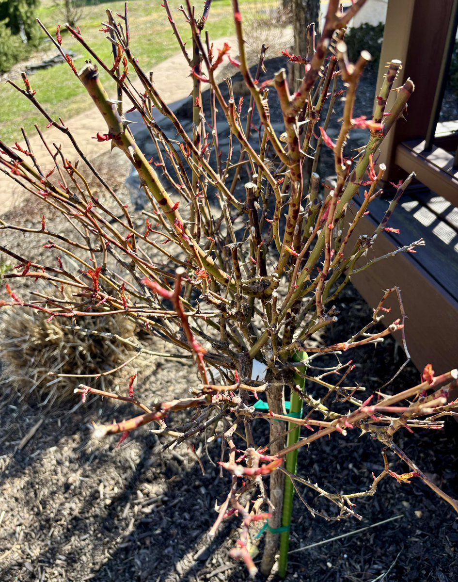 Selecta Jerry tweet media