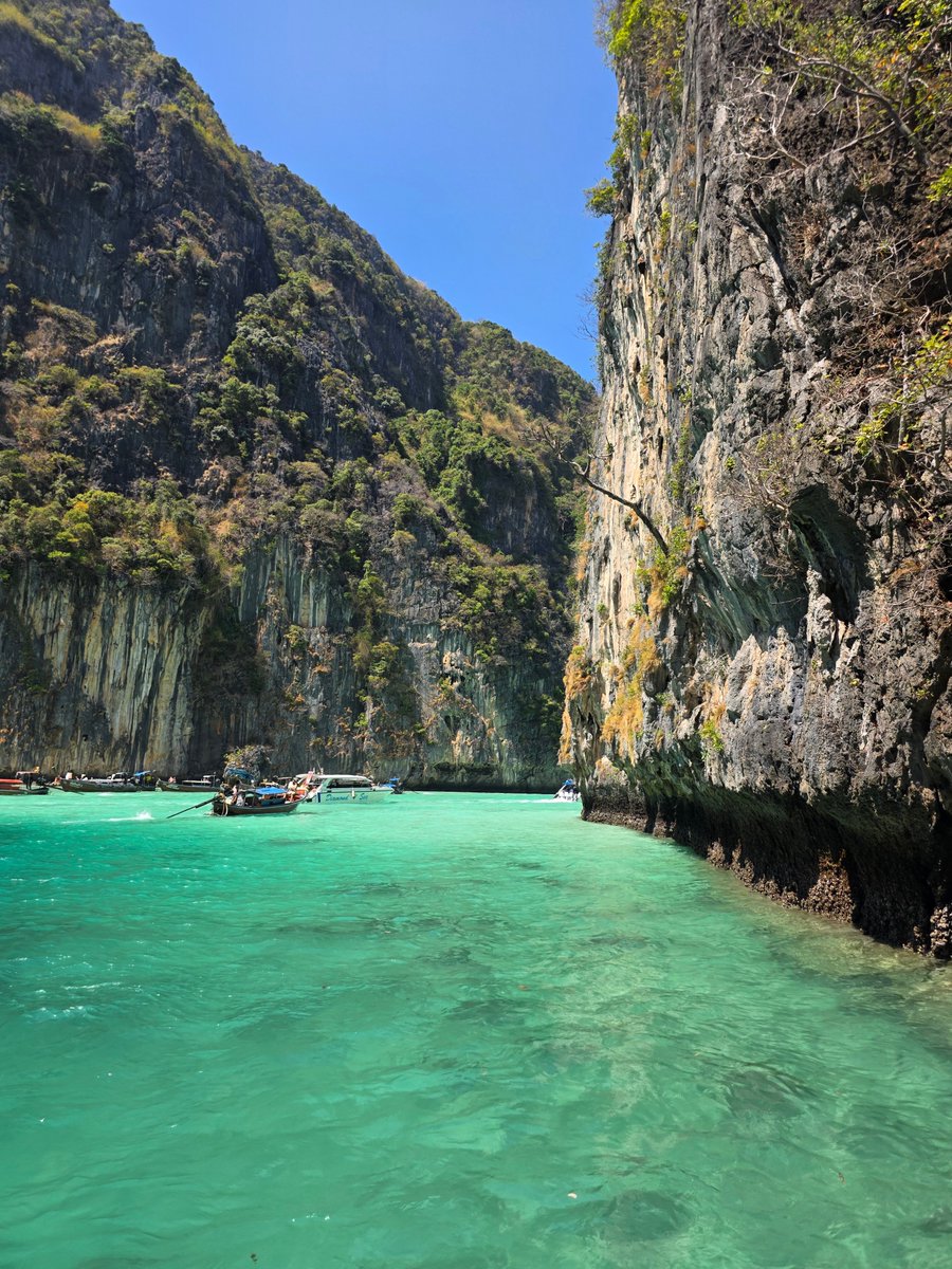 Gajender Yadav tweet media