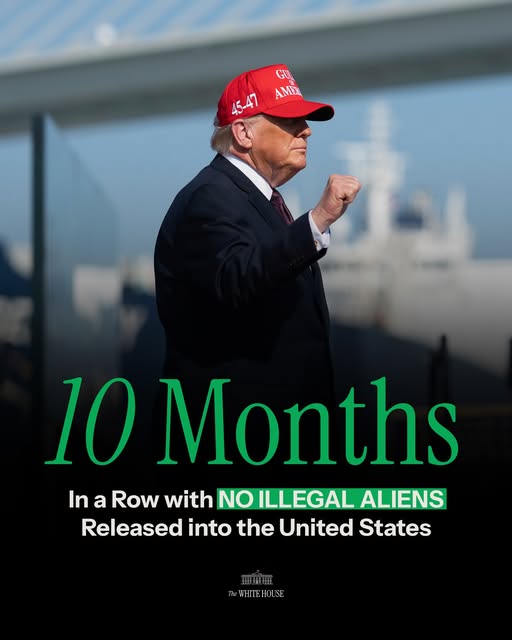 Commentary Donald J. Trump Posts From Truth Social tweet media