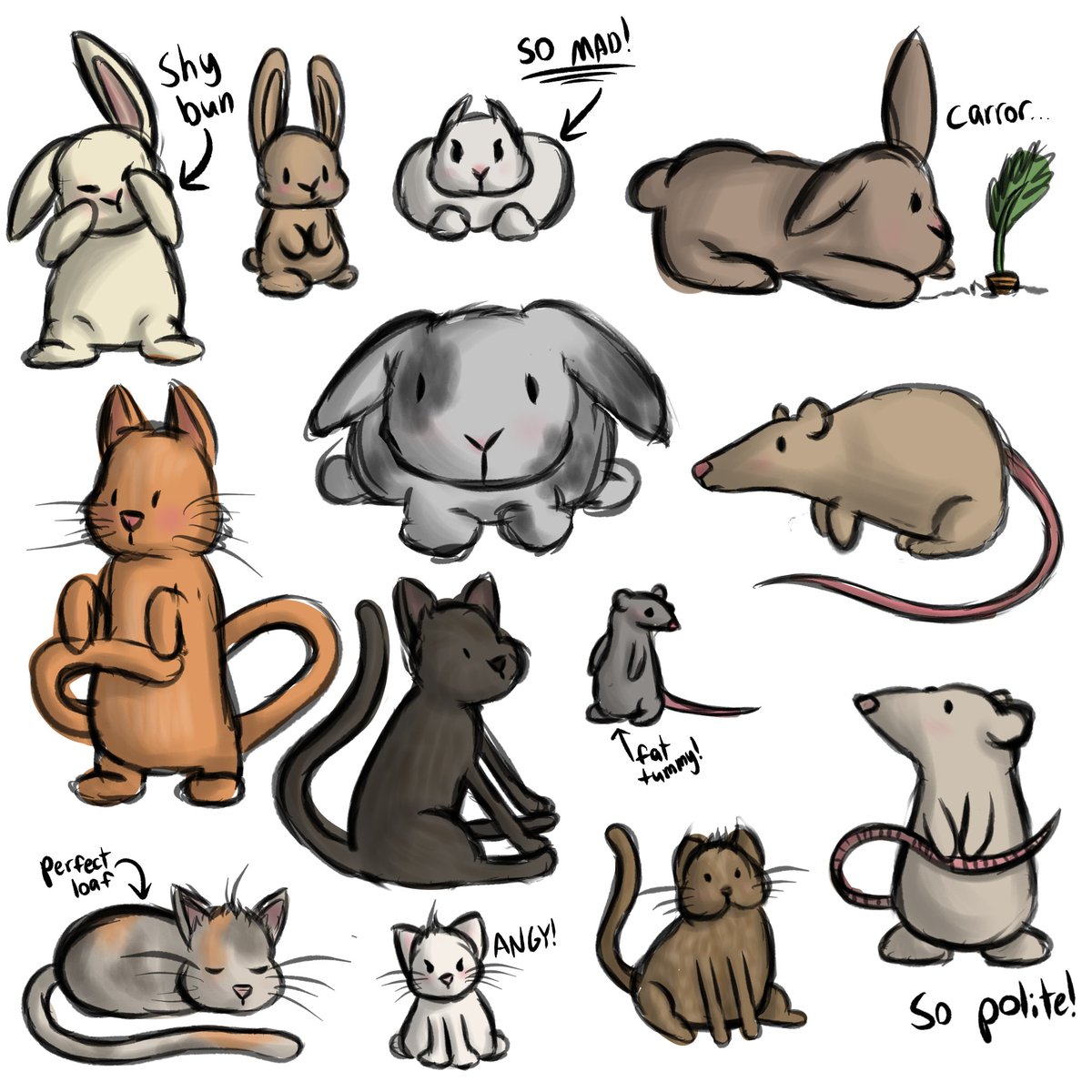 Comet/Bee tweet media