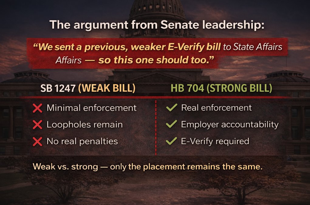 Michael Angiletta tweet media