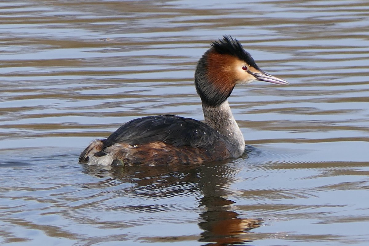 𝓡𝓮𝓿𝓭 𝓓𝓪𝓿𝓲𝓭 𝓐𝓽𝓴𝓲𝓷𝓼𝓸𝓷 tweet media