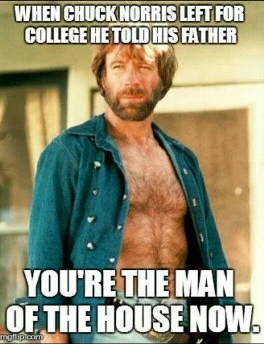 Vampiresangellv tweet media