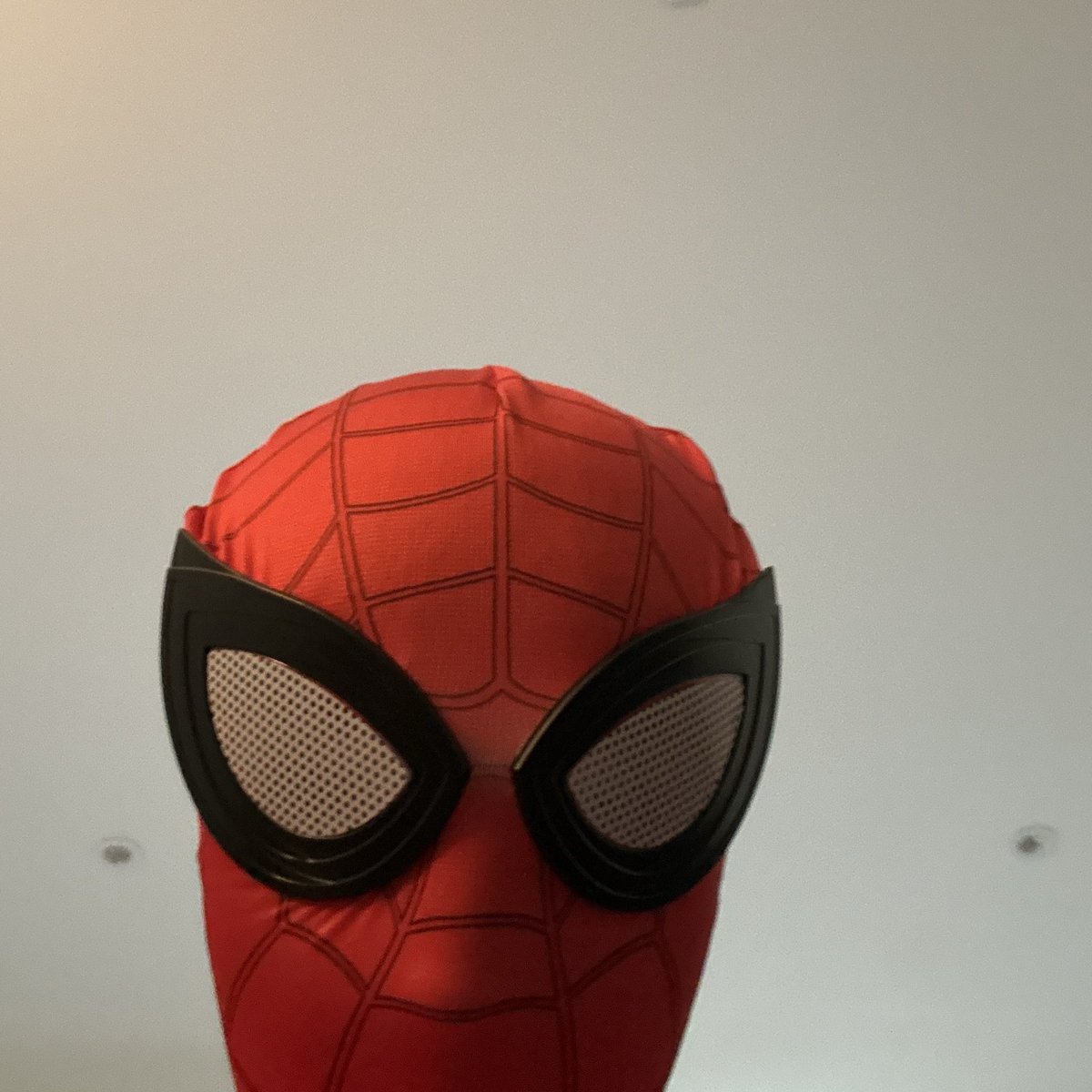 aimsey two tweet media