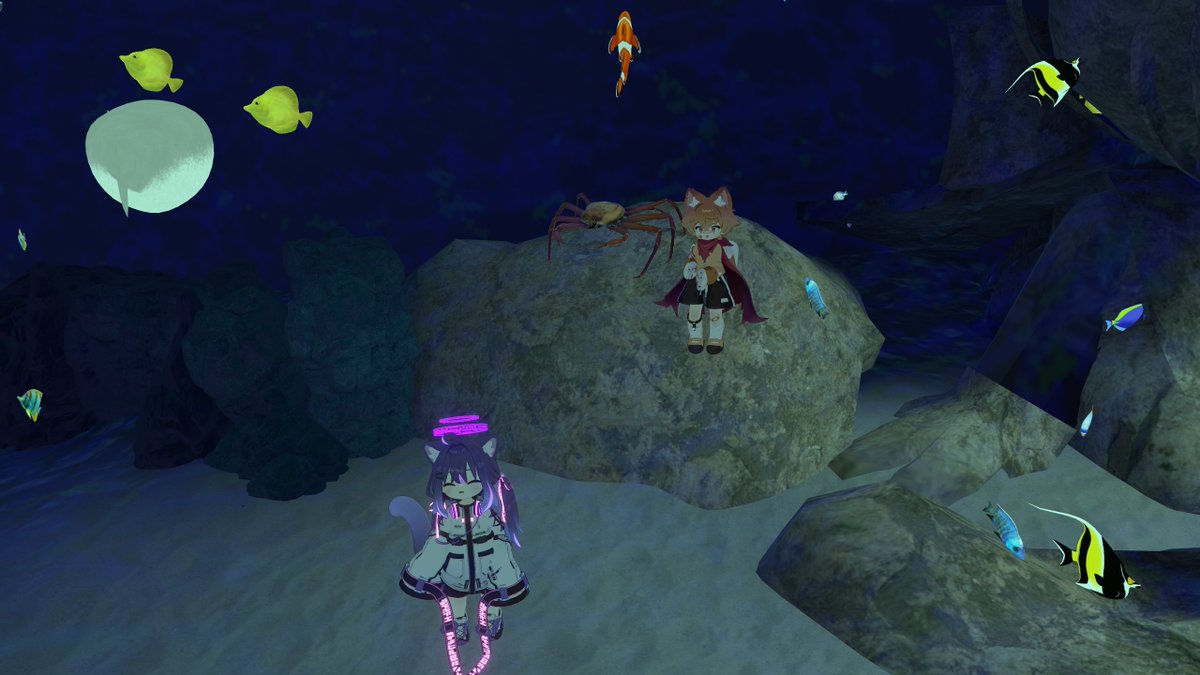 あきの tweet media