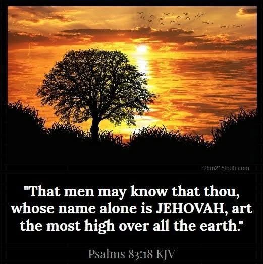 Tom Candle tweet media