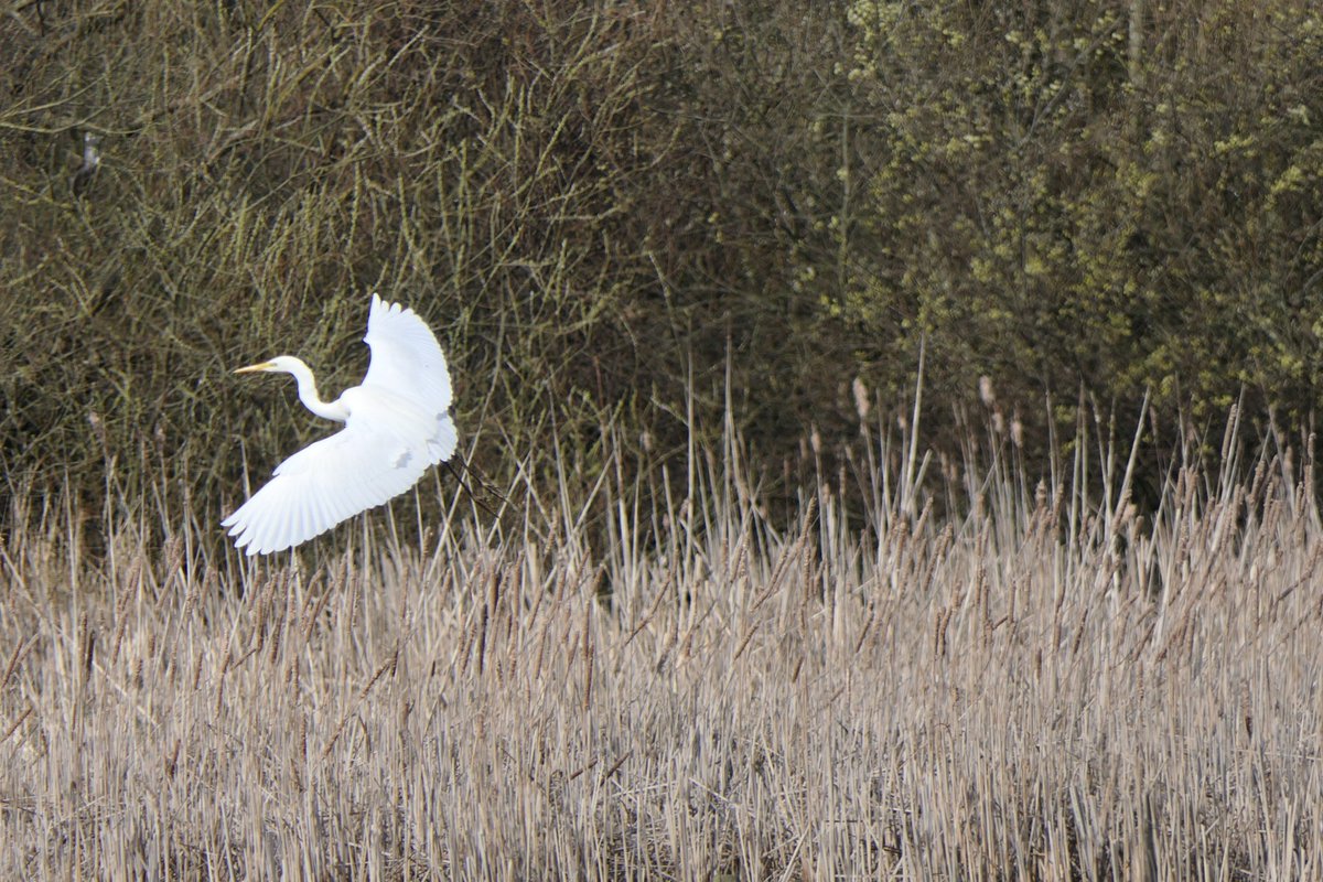 𝓡𝓮𝓿𝓭 𝓓𝓪𝓿𝓲𝓭 𝓐𝓽𝓴𝓲𝓷𝓼𝓸𝓷 tweet media