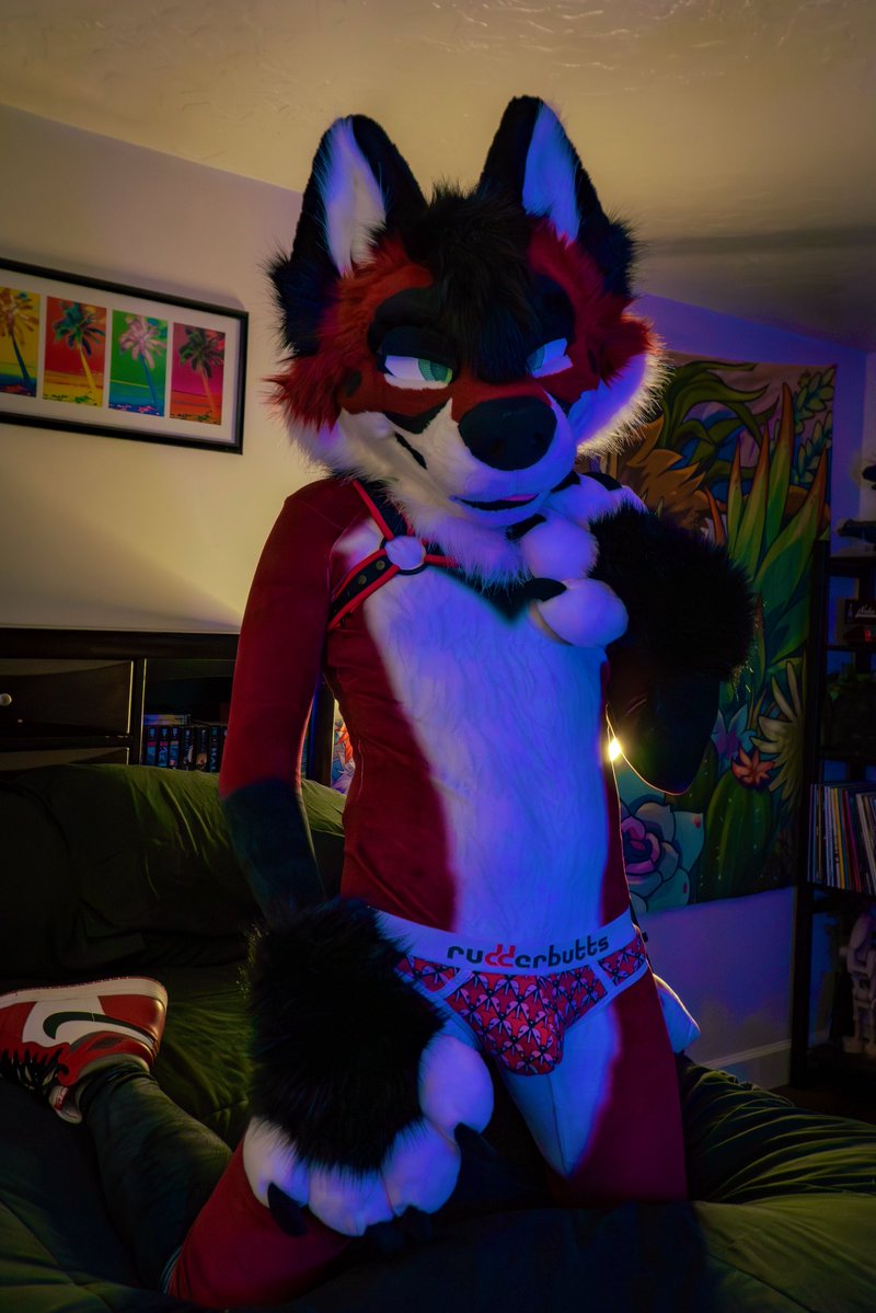 tavi🔜LVFC tweet media