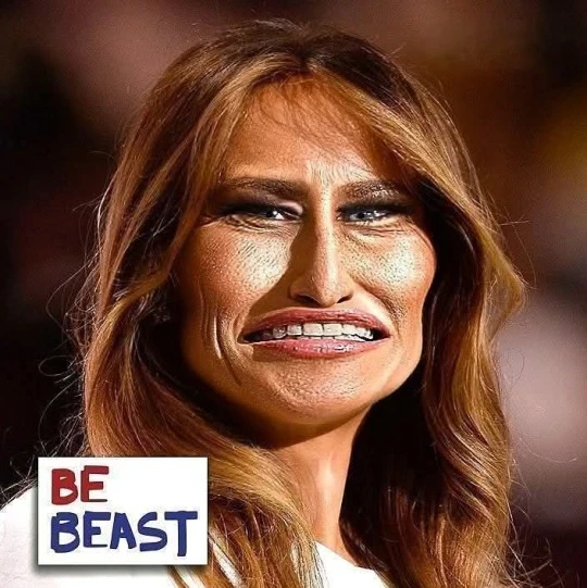 Brown Eyed Susan tweet media