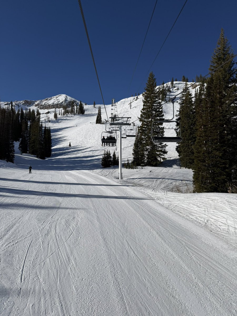 𝐁𝐫𝐢𝐚𝐧 𝐒𝐜𝐡𝐧𝐞𝐞 tweet media