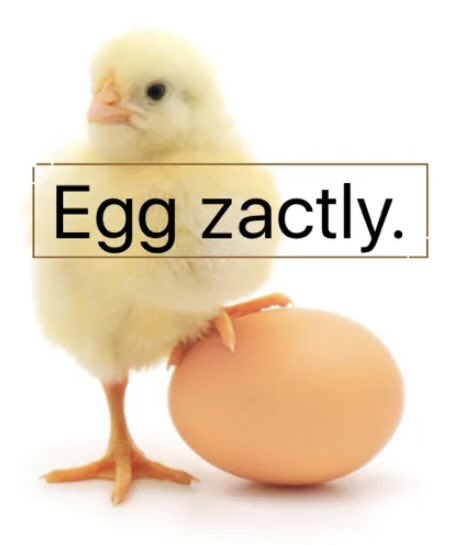 JET-X 💙🦅 tweet media