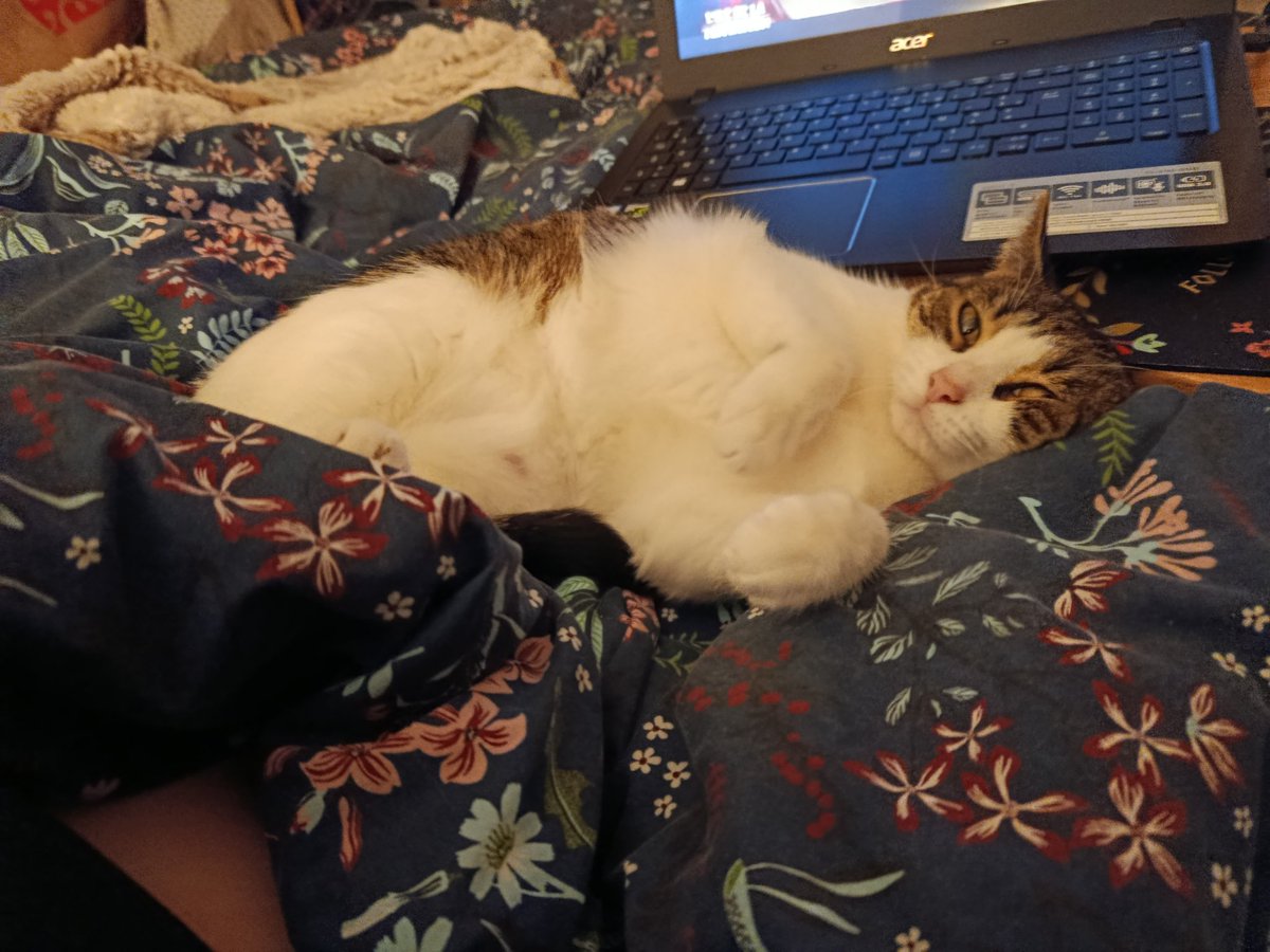 Clemonique 😼 tweet media