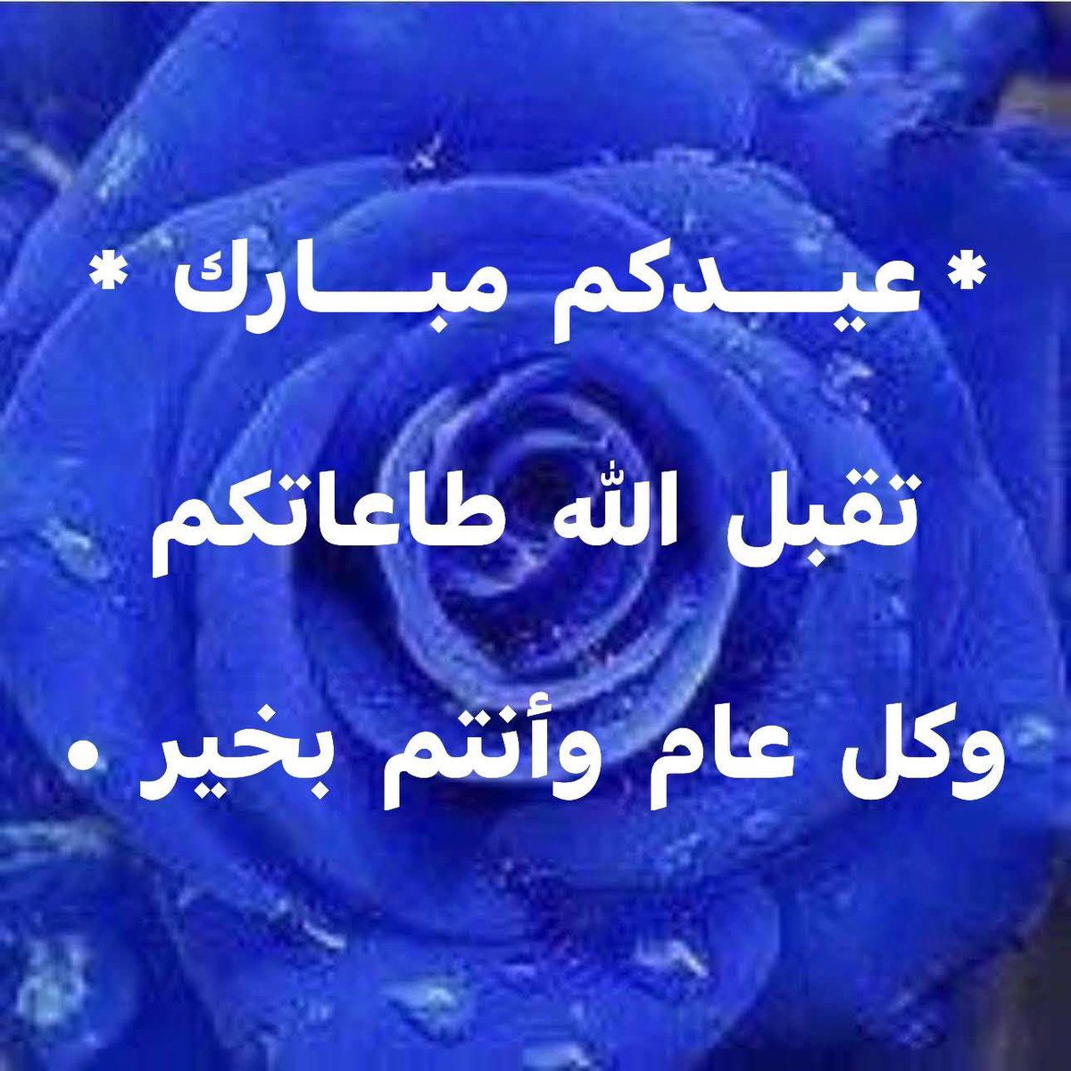 Dིeིcིeིnིtི Gིuིjིjིaིrི tweet media