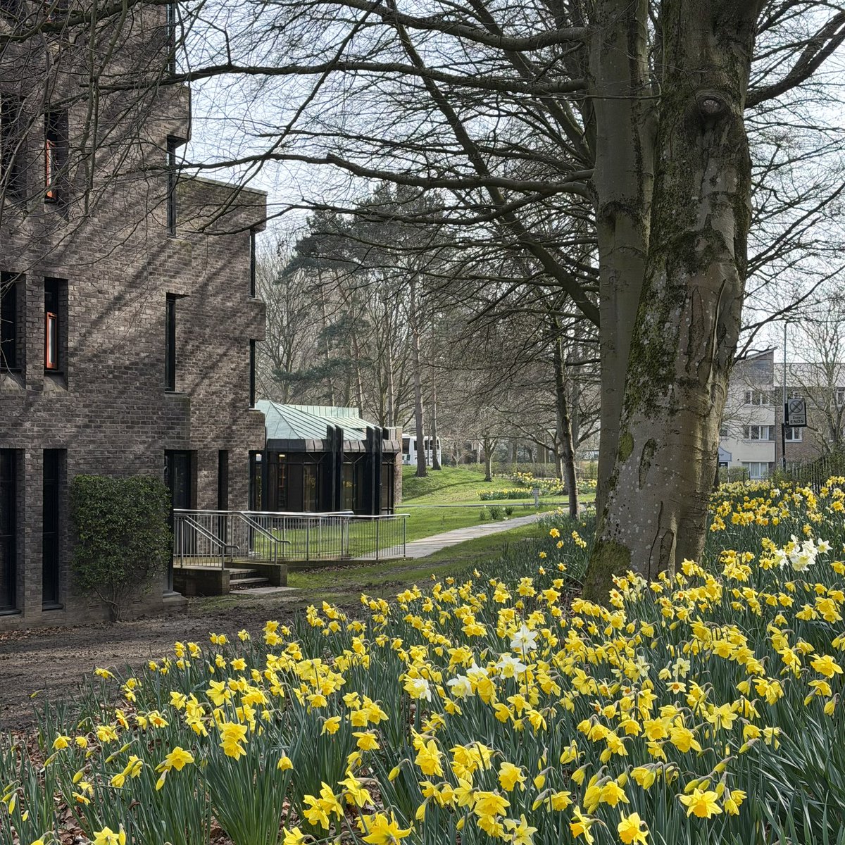 Trevelyan College tweet media