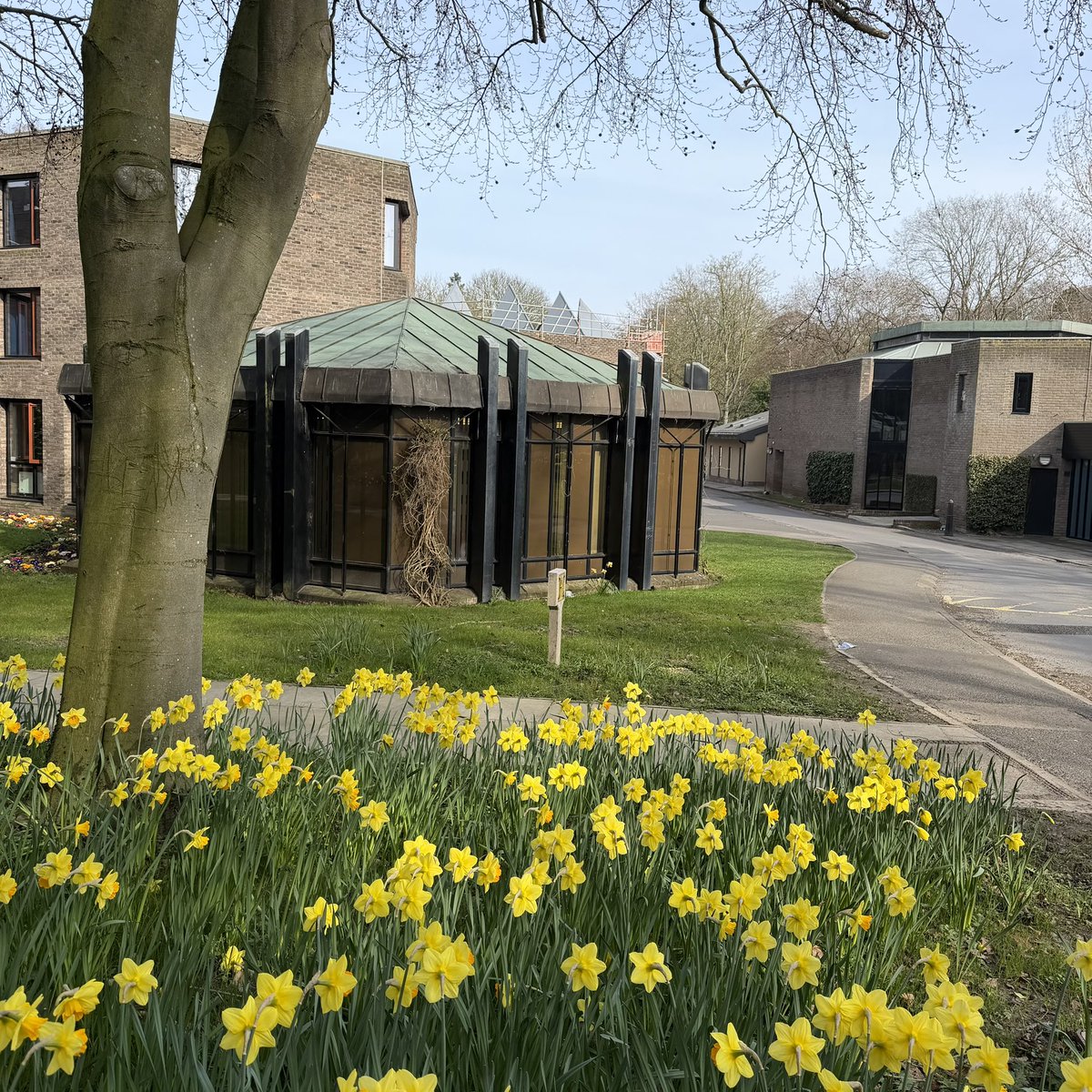 Trevelyan College tweet media