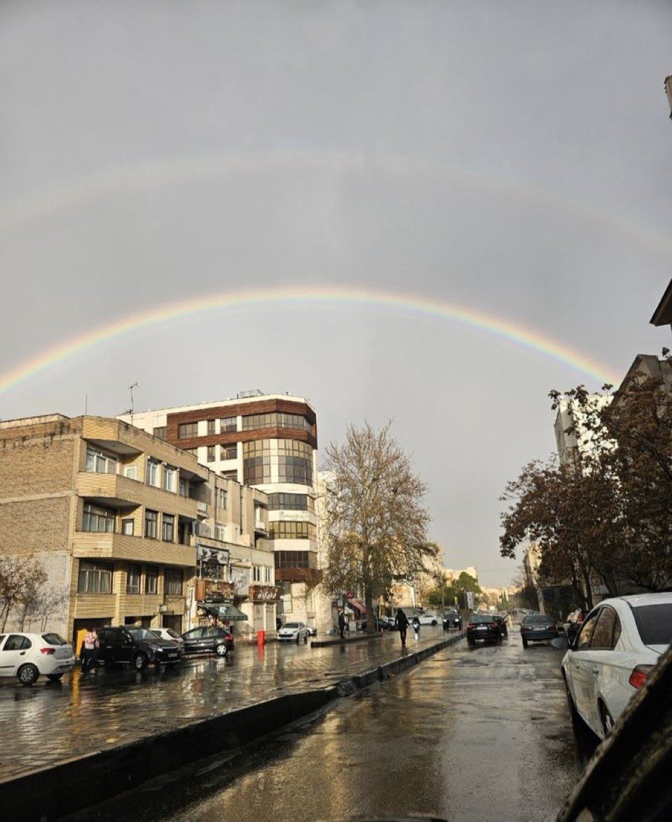 فلات ایران tweet media