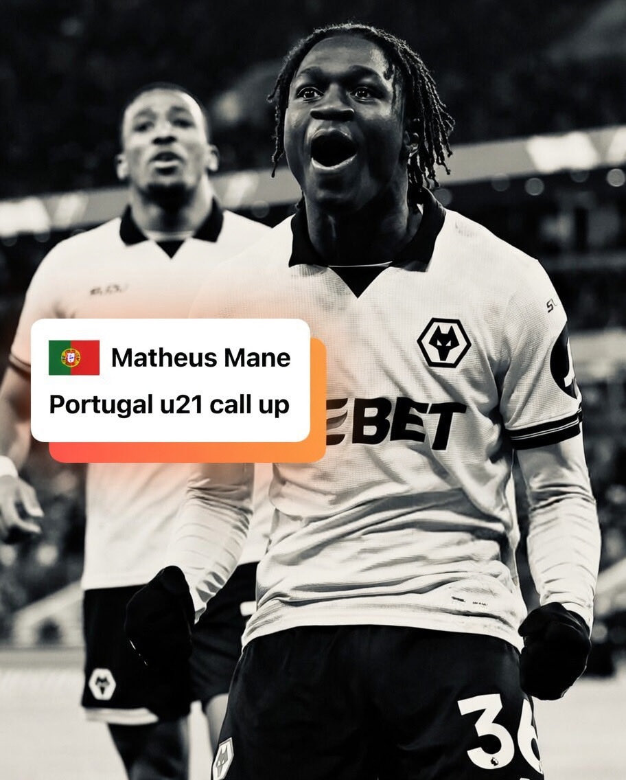 The Wolves Report 🎙 🎥 🎧 🏆 tweet media