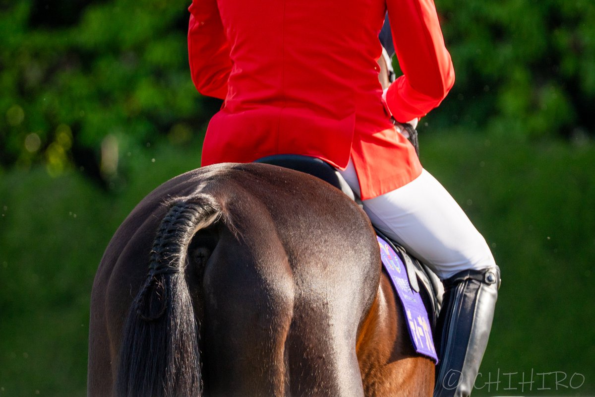 chihiro🐴 tweet media