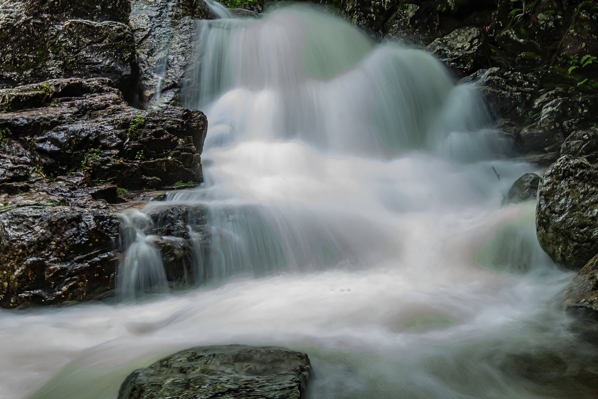 LeeBohlmanPhotography/NFT.NYC 2025 tweet media