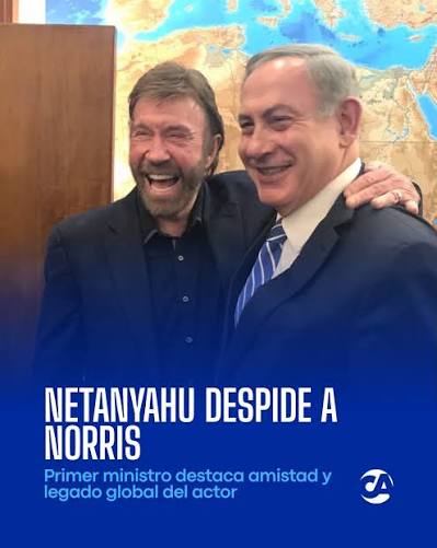 sandra ajargo🇦🇷 tweet media