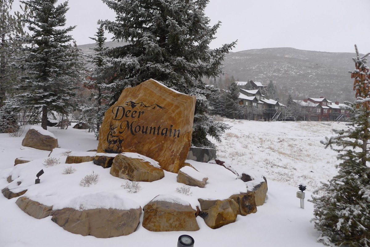 The Park Record tweet media