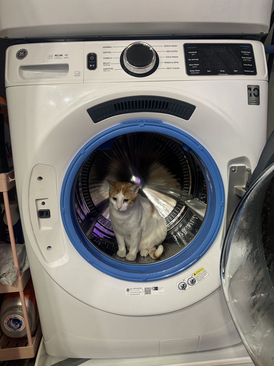 lil wet wet, patternsxx tweet media