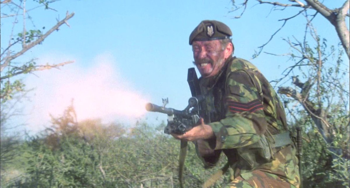 Elizabeth Vstx tweet media