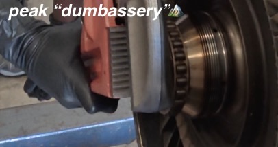 Phoenix𝕏 tweet media