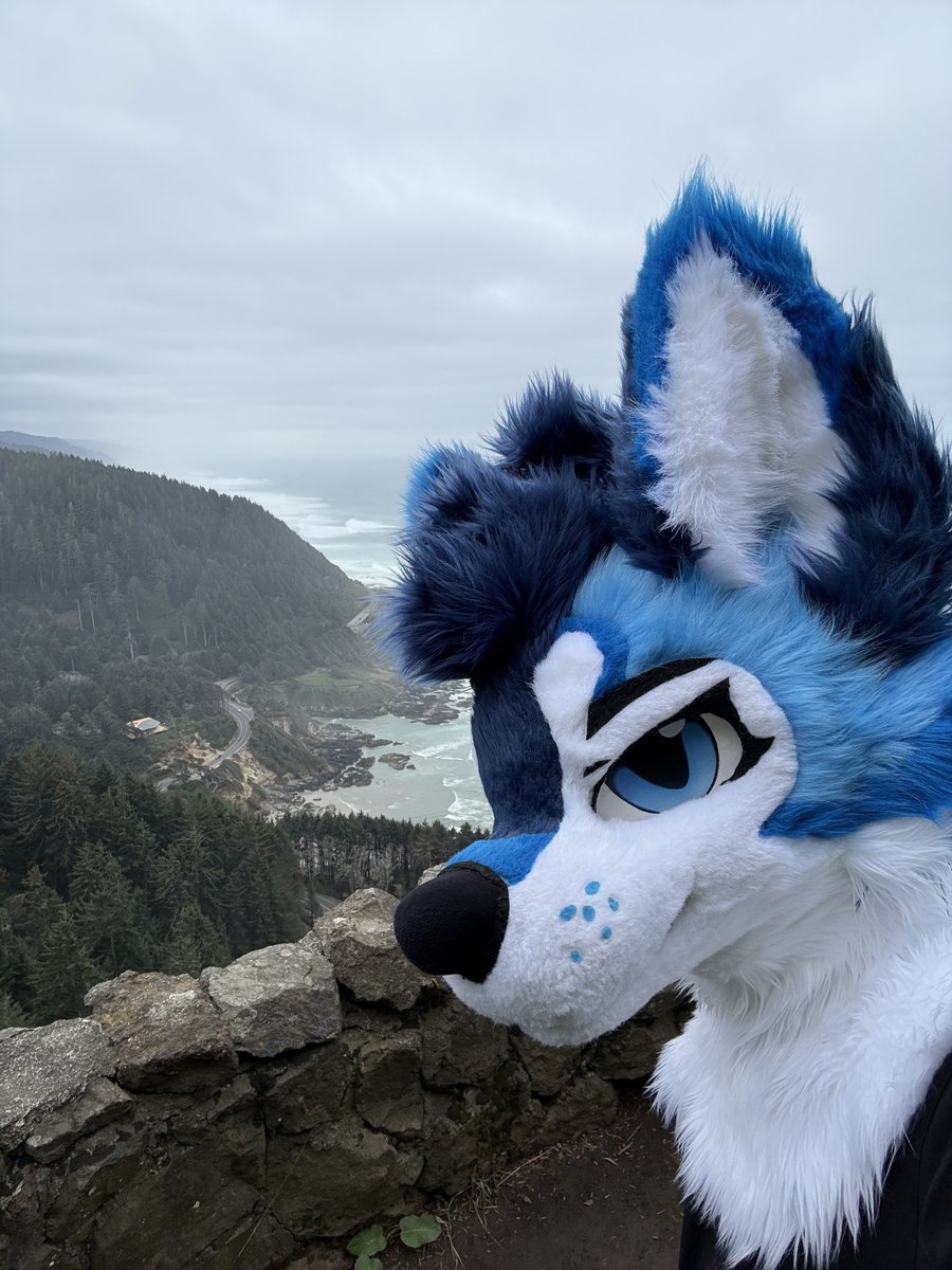 SkeelsPubby tweet media