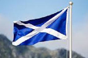 Andy grey tweet media