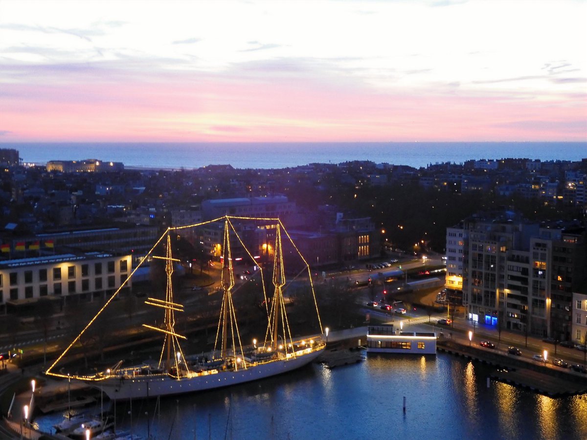 nori_reads's tweet image. Evening...  🩷    #1stDayOfSpring