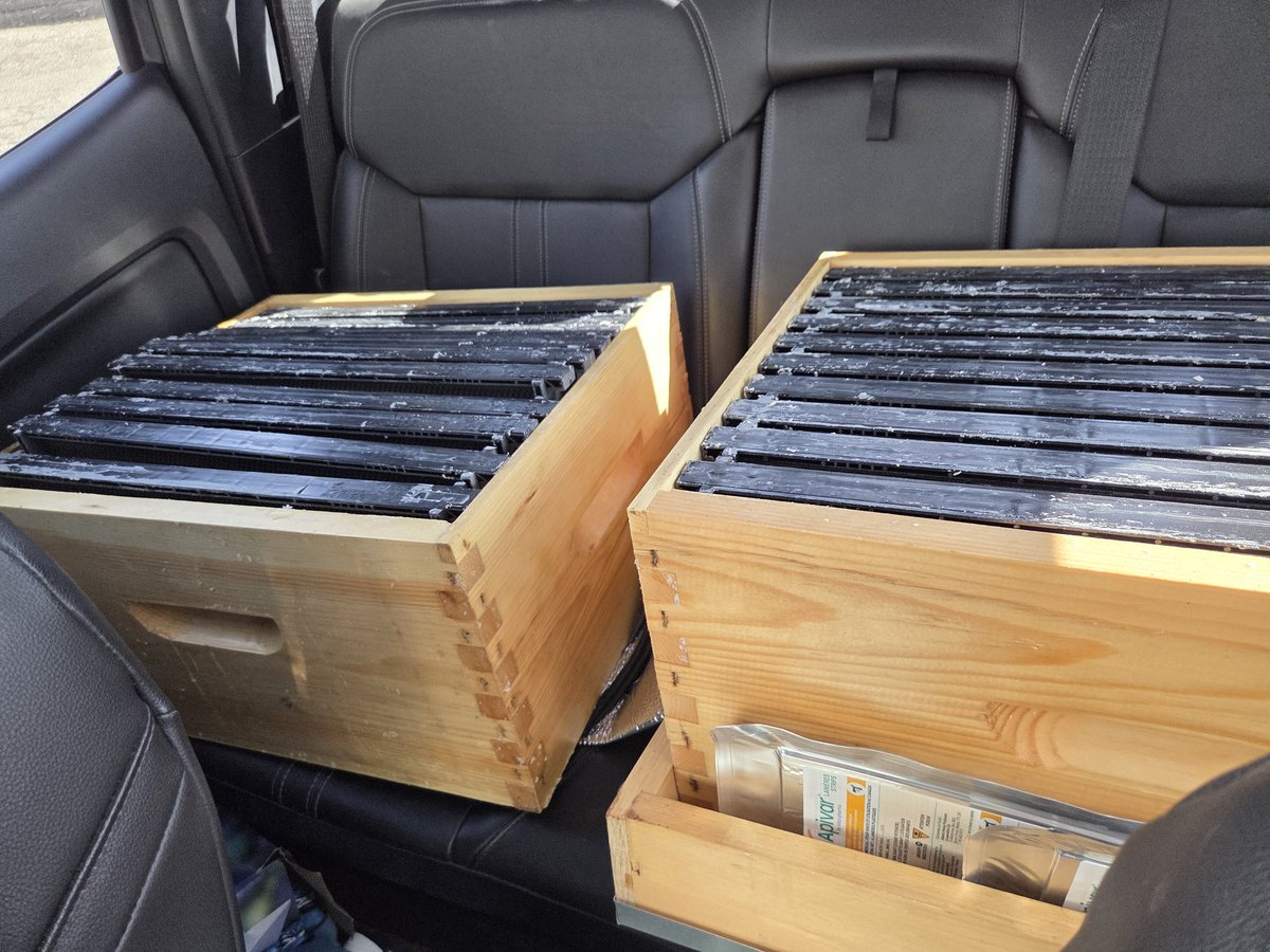 🇨🇦 Alice ~ Canadian Floozie🇨🇦 tweet media